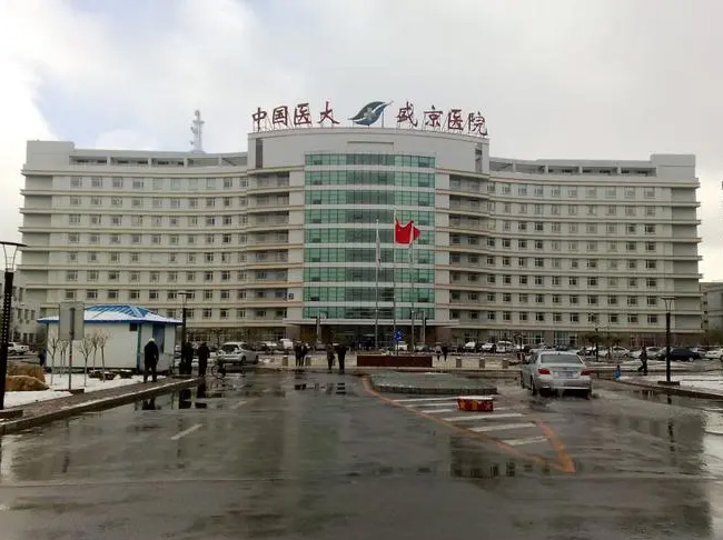 辽宁大连盛京医院